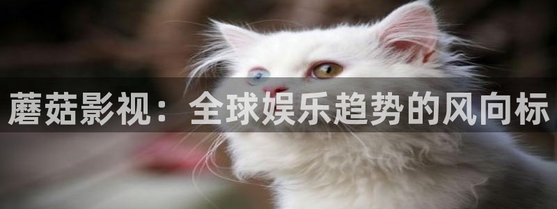 远古天龙电影院