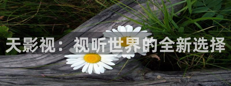 天龙影院电影推荐