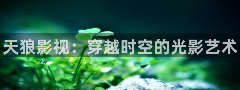 天龙影院免费电影：天狼影视：穿越时空的光影艺术