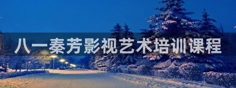 天龙2888：八一秦芳影视艺术培训课程