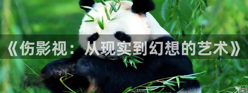 天龙影院官网首页：《伤影视：从现实到幻想的艺术》